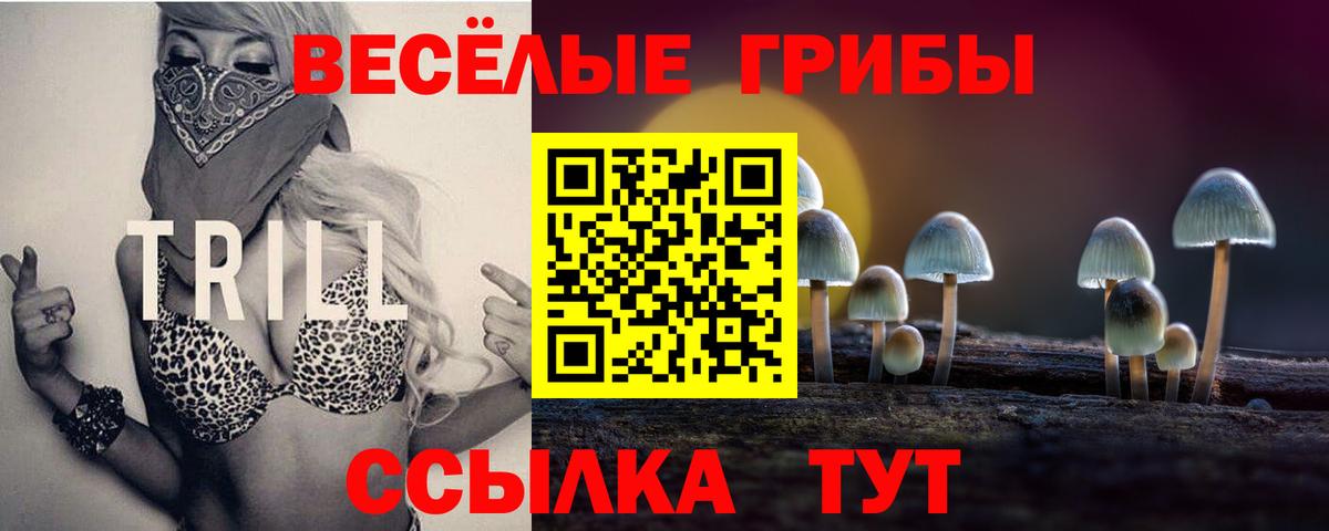Псилоцибиновые грибы прущие грибы  Вход с VPN  Владивосток  Галлюциногенные грибы прущие грибы 